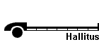 Hallitus