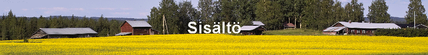Sis�lt�