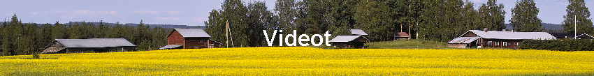 Videot